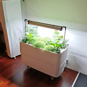 kit para muro vegetal con riego integrado