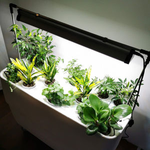 luminaria suspendida