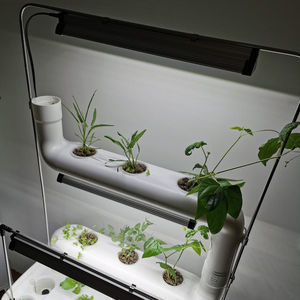 luminaria de cultivo