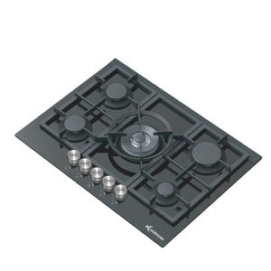placa de cocina de vitrocerámica