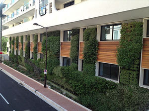 muro vegetal de plantas naturales