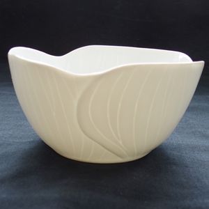 ensaladera de porcelana de Limoges