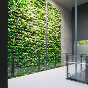 muro vegetal estabilizado