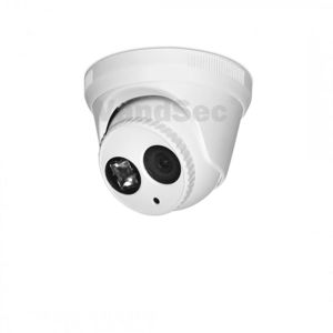 cámara de seguridad IP