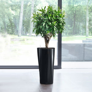 jardinera de plástico