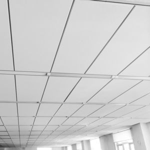 techo de fibra mineral