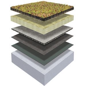 sistema de cubierta vegetal para tejado extensivo