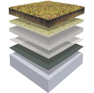 sistema de cubierta vegetal para tejado extensivo