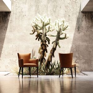 silla de comedor contemporánea