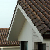 teja de borde