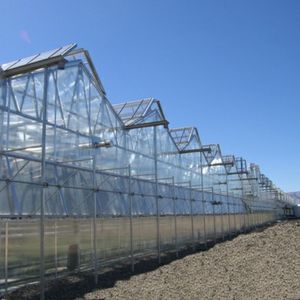 invernadero para el sector profesional