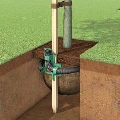 sistema de riego para árboles