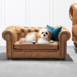 sofá para perros de madera