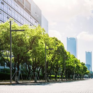 farola urbana