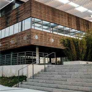 aplique contemporáneo