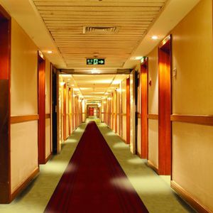 alfombra contemporánea