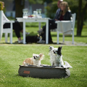 cojín para mascotas (perros y gatos)