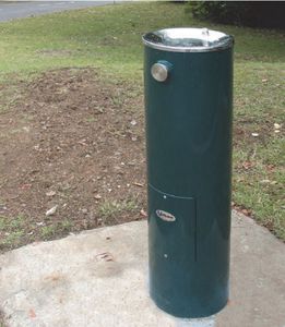 fuente de agua para perros