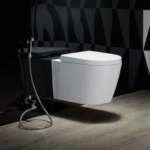 WC suspendido