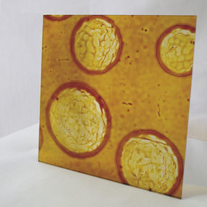 panel para interiores