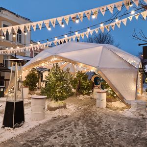 carpa para eventos ovalada