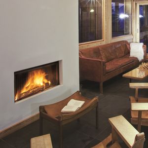chimenea de leña