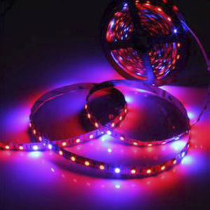 cinta de LED