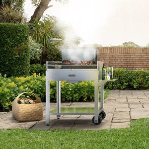 barbacoa de leña