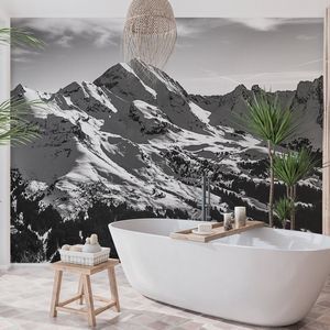 papel pintado foto