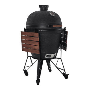 barbacoa de carbón