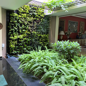 muro vegetal de plantas naturales