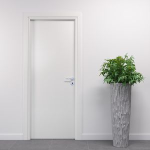 puerta de interior