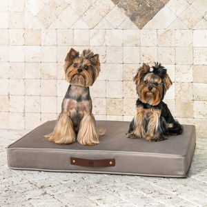 cama para perros de lujo