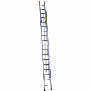 escalera profesional de trabajo