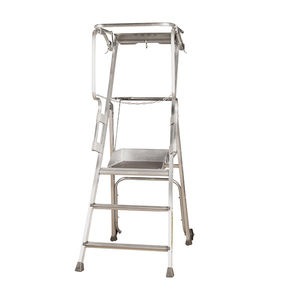 escalera pequeña para el sector profesional