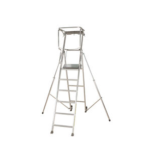 escalera pequeña para el sector profesional
