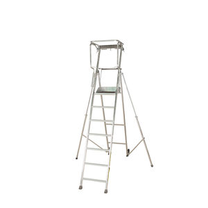 escalera pequeña para el sector profesional