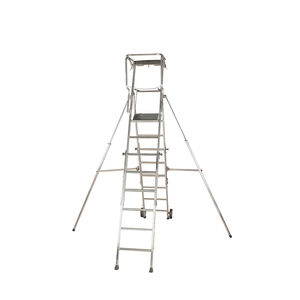 escalera pequeña para el sector profesional
