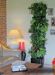 muro vegetal de interior