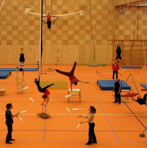 pavimento deportivo de linóleo / de interior / para sala polideportiva