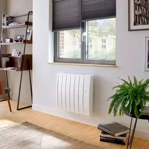 radiador inercial