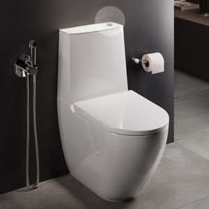 WC monobloque
