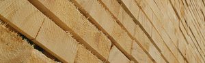 panel de contrachapado de construcción / para interiores