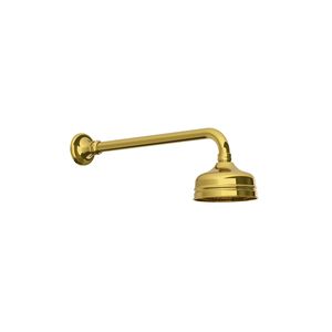 rociador de ducha de pared