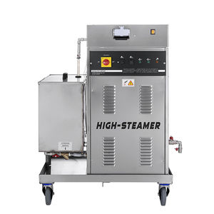 generador de vapor de saneamiento