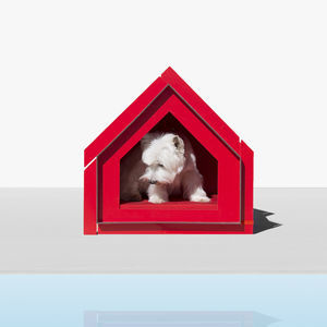 caseta para perros de poliuretano