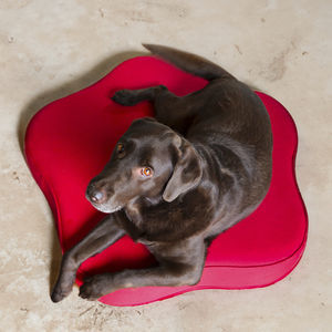 cama para gatos de terciopelo
