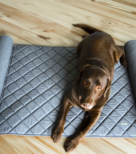 cama para perros de terciopelo