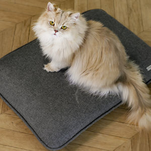 cama para gatos de terciopelo