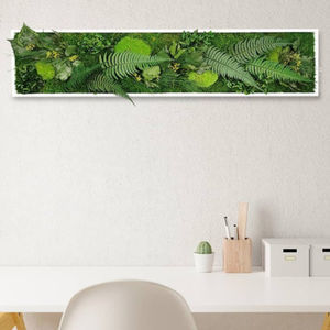marco vegetal estabilizado